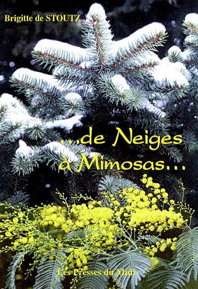 De neige à Mimosas