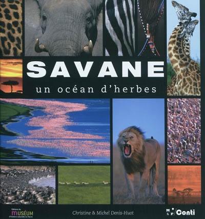 Savane : un océan d'herbes