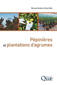 Pépinières et plantations d'agrumes