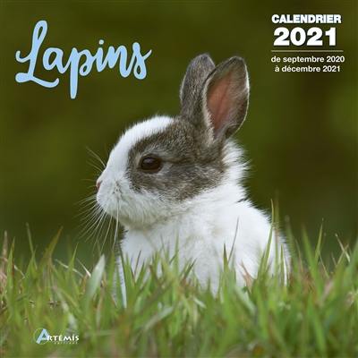 Lapins : calendrier 2021 : de septembre 2020 à décembre 2021