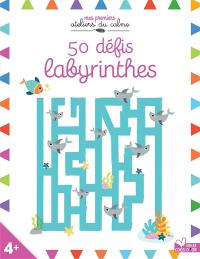 50 défis labyrinthes