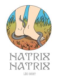 Natrix natrix