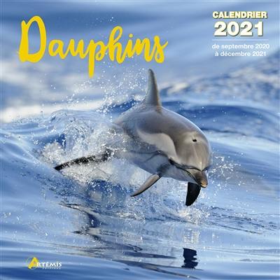 Dauphins : calendrier 2021 : de septembre 2020 à décembre 2021