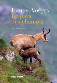 Hautes-Vosges, le pays des chamois