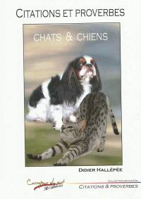 Citations et proverbes : chats et chiens