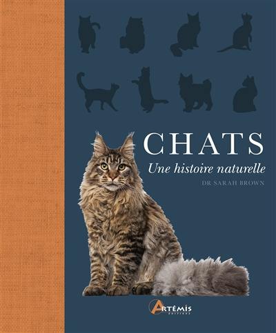 Chats : une histoire naturelle