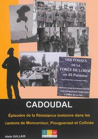 Cadoudal : épisodes de la résistance bretonne dans les cantons de Moncontour, Plouguenast et Collinée