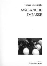 Avalanche : Cig, Sarigerme-Ortaca 2001. Impasse