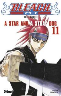 Bleach. Vol. 11. A star and a stray dog