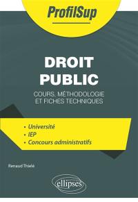 Droit public : cours, méthodologie et fiches techniques