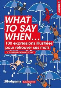 What to say when... : 100 expressions illustrées pour retrouver ses mots