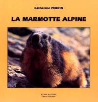 La marmotte alpine