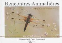 Rencontres animalières : dialogue avec la libellule