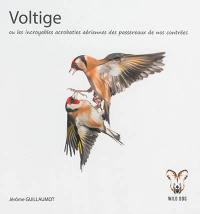Voltige ou Les incroyables acrobaties aériennes des passereaux de nos contrées. Acrobatics : the amazing aerial acrobatics from common passerines of western paleartic