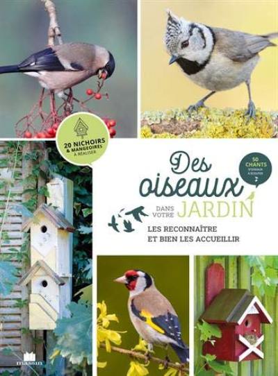 Des oiseaux dans votre jardin : les reconnaître et bien les accueillir