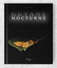 Guyane nocturne : un monde révélé