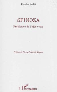 Spinoza : problèmes de l'idée vraie