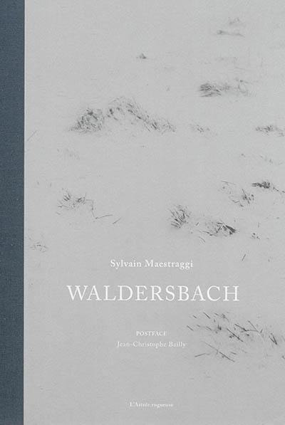 Waldersbach : d'après Lenz de Georg Büchner et le manuscrit du pasteur Oberlin