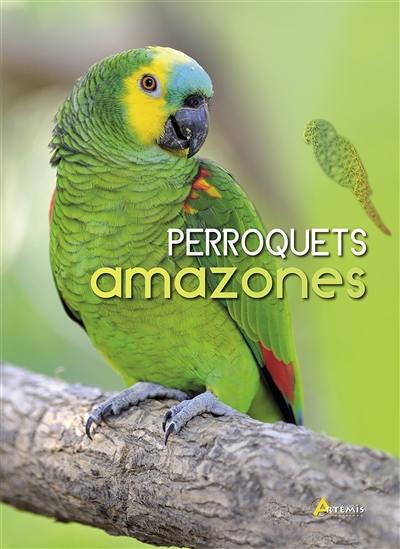 Perroquets amazones
