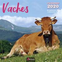 Vaches : calendrier 2020 : de septembre 2019 à décembre 2020
