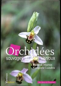 Orchidées sauvages du mont Ventoux