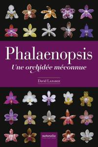 Phalaenopsis : une orchidée méconnue