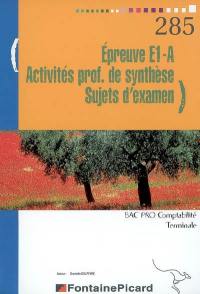 Epreuve E1-A, activités professionnelles de synthèse, terminale bac pro comptabilité : sujets d'examen
