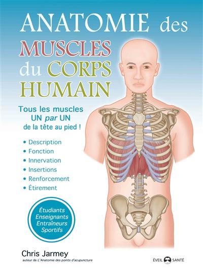 Anatomie des muscles du corps humain : tous les muscles un par un de la tête au pied !
