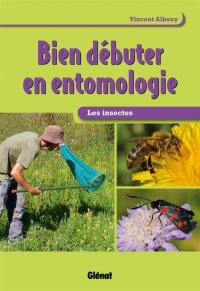 Bien débuter en entomologie : les insectes