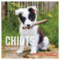 Chiots : calendrier 2021