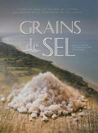 Grains de sel : itinéraire dans les salines du littoral bas-normand de la préhistoire au XIXe siècle