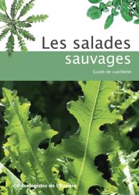Les salades sauvages : guide de cueillette