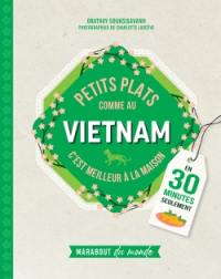 Petits plats comme au Vietnam : c'est meilleur à la maison : en 30 minutes seulement