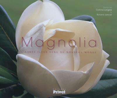 Magnolia : l'arbre fleur venu du Nouveau monde