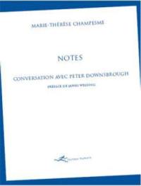 Notes : conversation avec Peter Downsbrough
