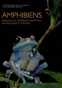 Amphibiens : grenouilles, crapauds, rainettes, salamandres et tritons