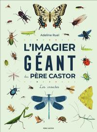 L'imagier géant du Père Castor : les insectes