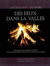 Des feux dans la vallée : les habitats du mésolithique et du néolithique récent de l'Essart à Poitiers (Vienne)