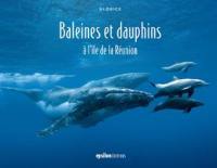 Baleines et dauphins à l'île de la Réunion