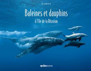 Baleines et dauphins à l'île de la Réunion