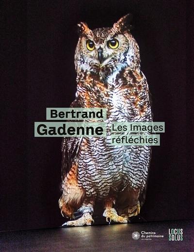 Bertrand Gadenne : les images réfléchies