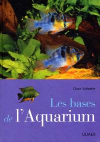 Les bases de l'aquarium