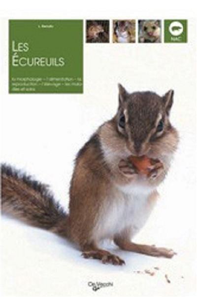 Les écureuils : la morphologie, l'alimentation, la reproduction, l'élevage, les maladies et soins