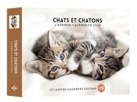 Chats et chatons : l'agenda-calendrier 2024