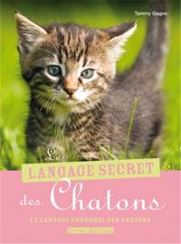 Le langage secret des chatons : le langage corporel des chatons