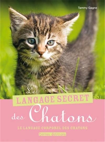 Le langage secret des chatons : le langage corporel des chatons
