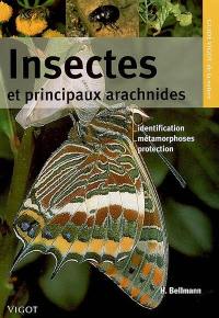 Guide Vigot des insectes et principaux arachnides : identification, métamorphoses, protection