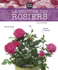 La culture des rosiers
