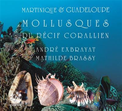 Martinique & Guadeloupe : merveilles du récif corallien. Vol. 2. Mollusques