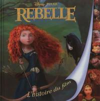 Rebelle : l'histoire du film